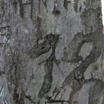 Podpis izpred skoraj 30 let